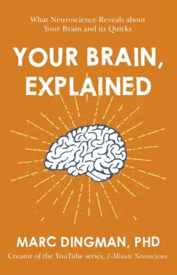 Your Brain, Explained Av Marc Dingman