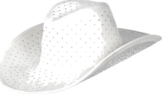 Wilbers & Wilbers Cowboyhatt Hvit med Steiner One size 009131-V02