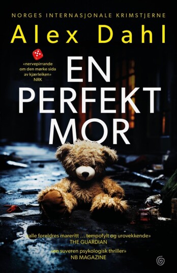 En perfekt mor