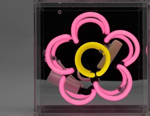 Locomocean Daisy neonskilt rosa