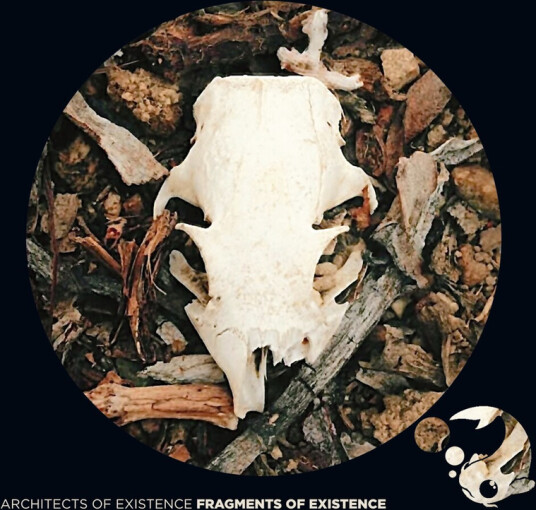 Architects Of Existence Fragments Of Existence CD