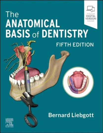 The Anatomical Basis Of Dentistry Av Bernard (Professor Emeritus Department Of Surgery Division Of Anatomy Faculty Of Medicine Faculty Of Dentistry Un