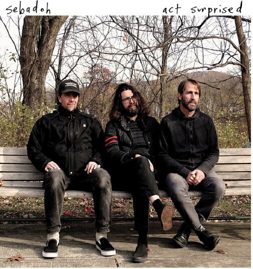 Sebadoh Act Surprised CD