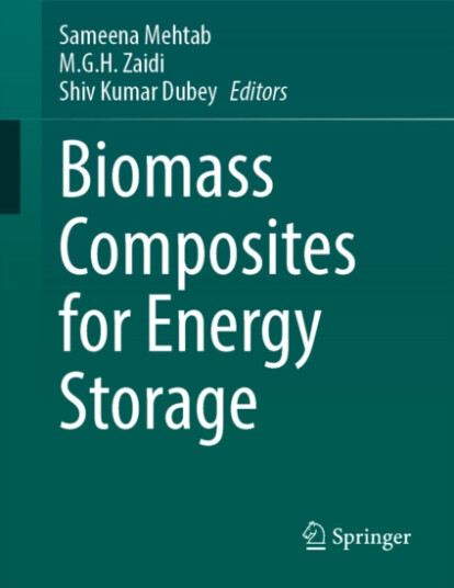 Biomass Composites for Energy Storage