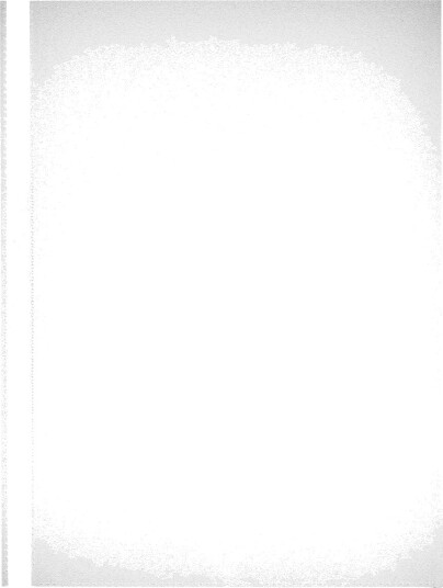 Herlitz Plastlommer A4 100 stk Klar Herlitz Plastlommer A4 100 stk Klar
