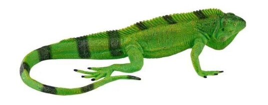 Mojo Wildlife Iguana