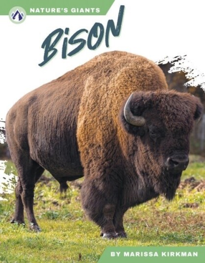 Bison Bison