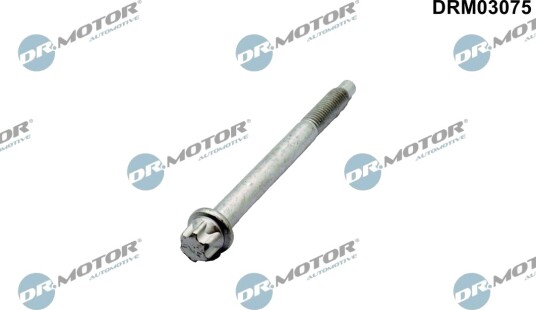Skrue innsprøytningsdyseholder DR.MOTOR AUTOMOTIVE DRM03075
