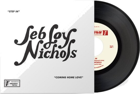 Jeb Loy Nichols Step In Vinyl