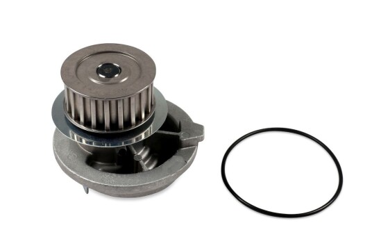 HEPU P318 Vannpumpe HEPU P318 Vannpumpe