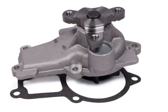 HEPU P2635 Vannpumpe