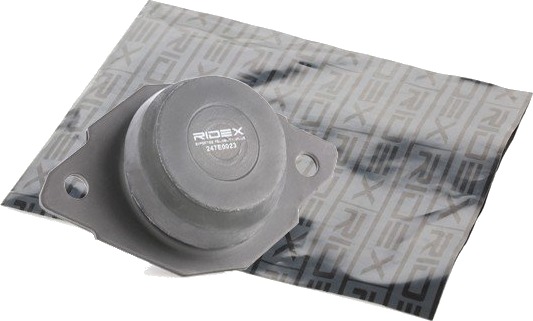 RIDEX 247E0023 Motorfeste