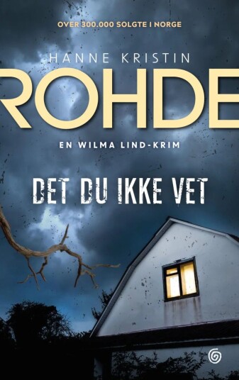 Det Du Ikke Vet Av Hanne Kristin Rohde
