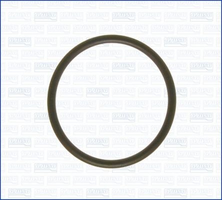 Tetning innsugningsmanifold AJUSA 16029000