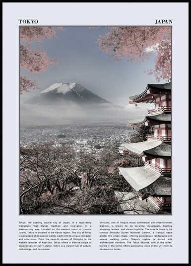 This Is Tokyo City Plakat Plakat / 40x50cm