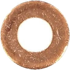 Tetningsring innsprøytningsdyse REINZ 40 70631 00
