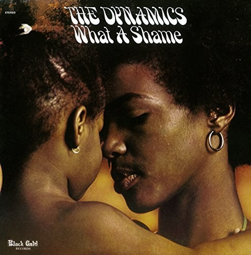 The Dynamics What A Shame: Expanded CD