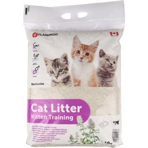 Kitten Training Kattesand 10Kg