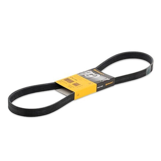 Kilerem CONTITECH 6PK1100 Kilerem CONTITECH 6PK1100