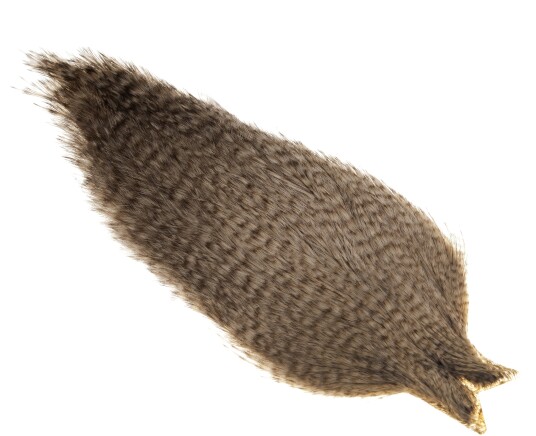 Whiting Coq De Leon Rooster Cape Whiting Coq De Leon Rooster Cape
