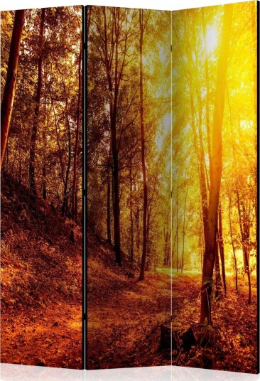 Romdeler - Autumn Walk 135x172 - Artgeist sp. z o. o.