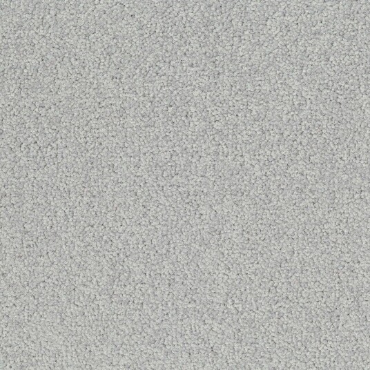 Teppeflis   DESSO LRV Palatino Ecobase   B359 2502