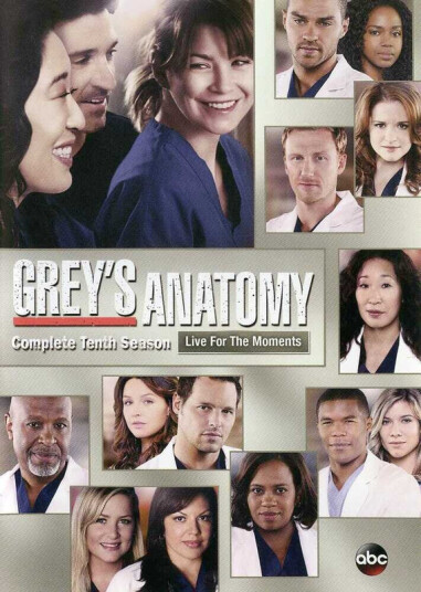 Grey's Anatomy: The Complete Tenth Season DVD