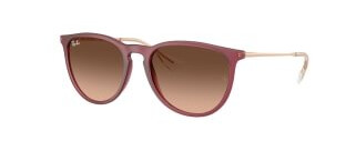 Ray-Ban Erika RB4171 6815A5 5418