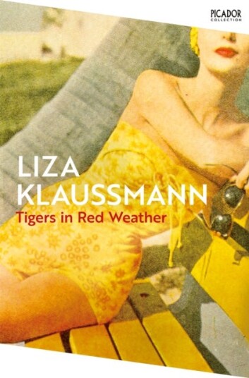 Tigers in Red Weather Tigers in Red Weather