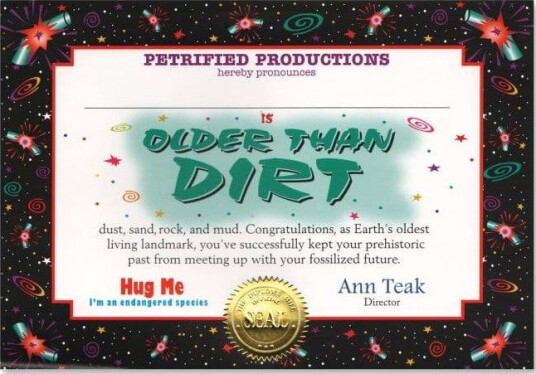 Dobbelt Kort Sertifikat Older Than Dirt Dobbelt Kort Sertifikat Older Than Dirt