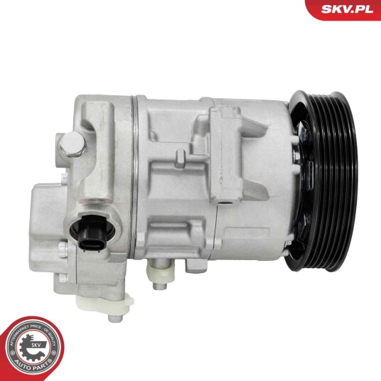 AC-kompressor ESEN SKV 84SKV173