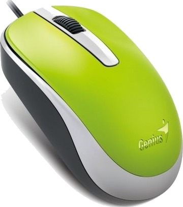 Genius DX-120 Ambidekstriøs Optisk USB Mus 1000 DPI