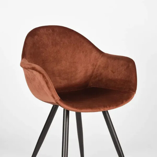 Trendcollection 2 Stk Forli Spisestoler Rust