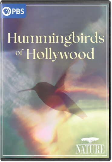 NATURE: Hummingbirds of Hollywood DVD