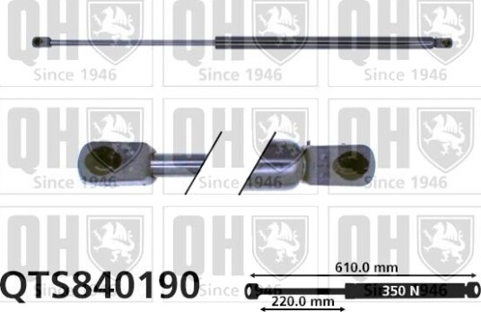 QUINTON HAZELL QTS840190 Baklukedemper