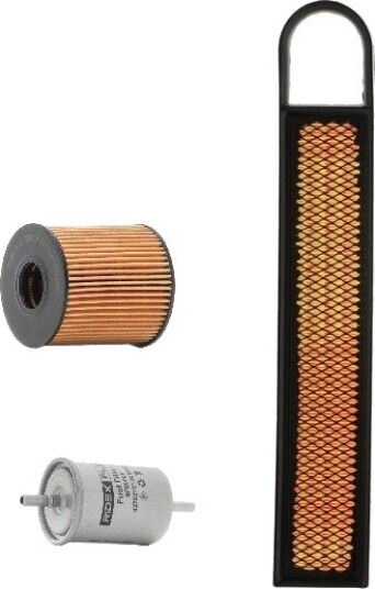 RIDEX PLUS 4055F7960P Filtersett