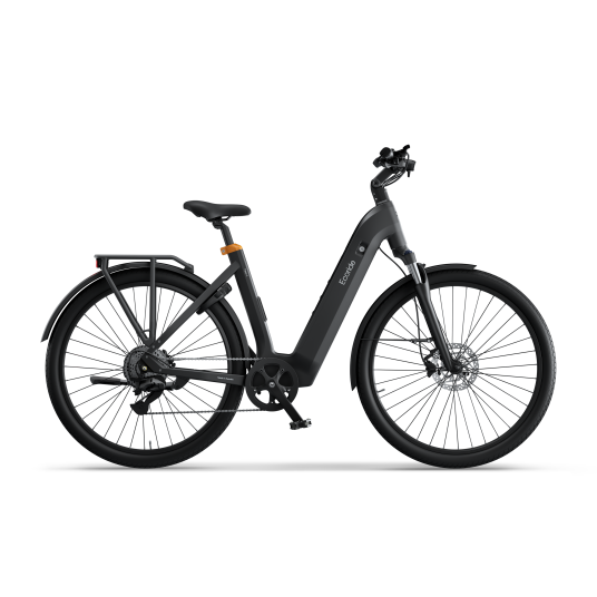 Elsykkel Ecoride Tripper-4-hubmotor-low-step-black-small