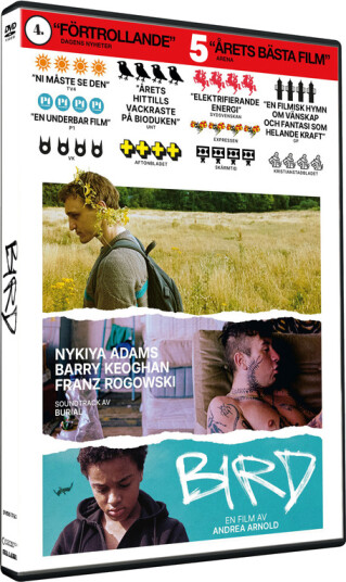 Bird (2024) DVD