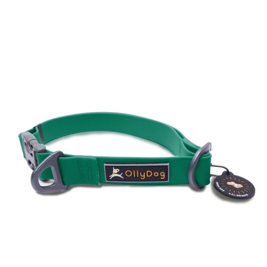 OllyDog Tilden Collar M, Teal