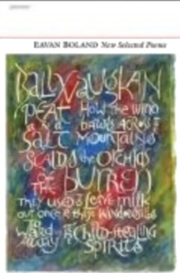 New Selected Poems: Eavan Boland Av Eavan Boland