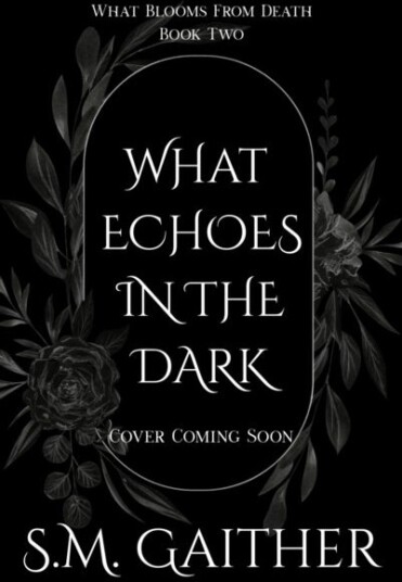 What Echoes in the Dark
