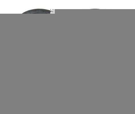 Budweg Caliper Rep. sett bremsecaliper BUDWEG CALIPER 204405