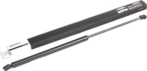 RIDEX 219G0148 Baklukedemper