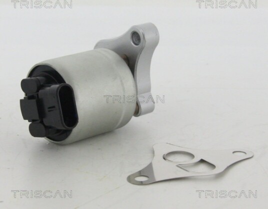 EGR Ventil TRISCAN 8813 24002