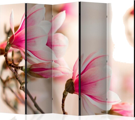Romdeler - Gren av magnolietre II 225x172 - Artgeist sp. z o. o.