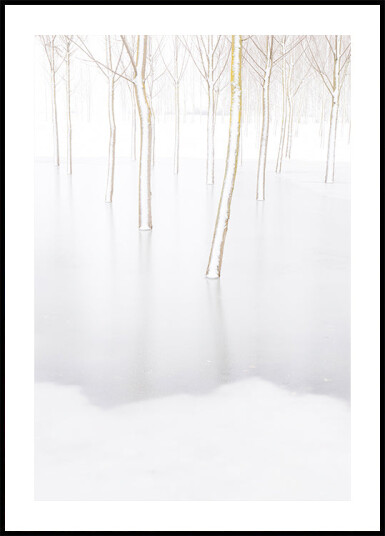 Winter Reflection Plakat Plakat / 70x100cm Winter Reflection Plakat Plakat / 70x100cm