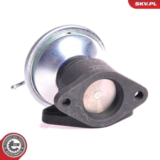 EGR-ventil ESEN SKV 14SKV001