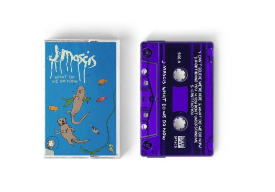 J Mascis  What Do We Do Now  Kassett