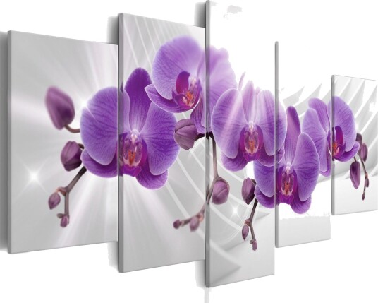Bilde Abstract Garden Purple Orchis 100x50 Artgeist sp. z o. o.
