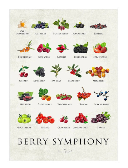 Poster & Frame Simon Holst - Berry Symphony - Multi/patterned - 30X40CM Poster & Frame Simon Holst - Berry Symphony - Multi/patterned - 30X40CM